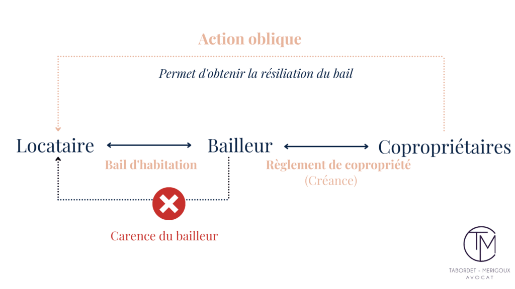 Bailleur - Résiliation d'un bail par l'exercice de l'action oblique en copropriété